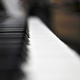 Illustration for article titled Shooting Challenge: Bokeh, Gallery 3
